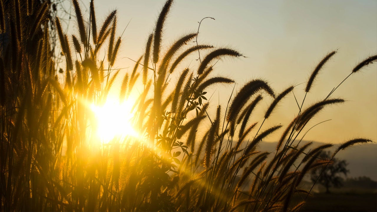 Hilo, HI (96720) Weather Forecast and Conditions The Weather Channel