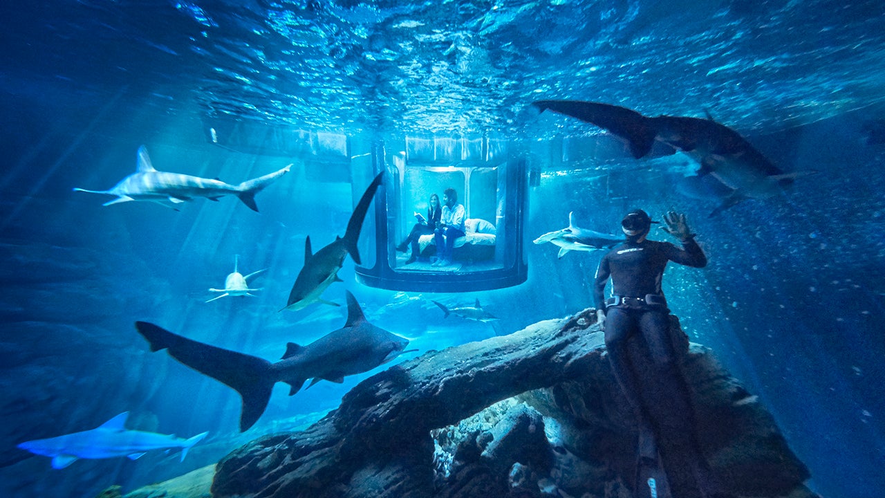 Spend the Night with Sharks in Airbnb's First Underwater Bedroom (PHOTOS)