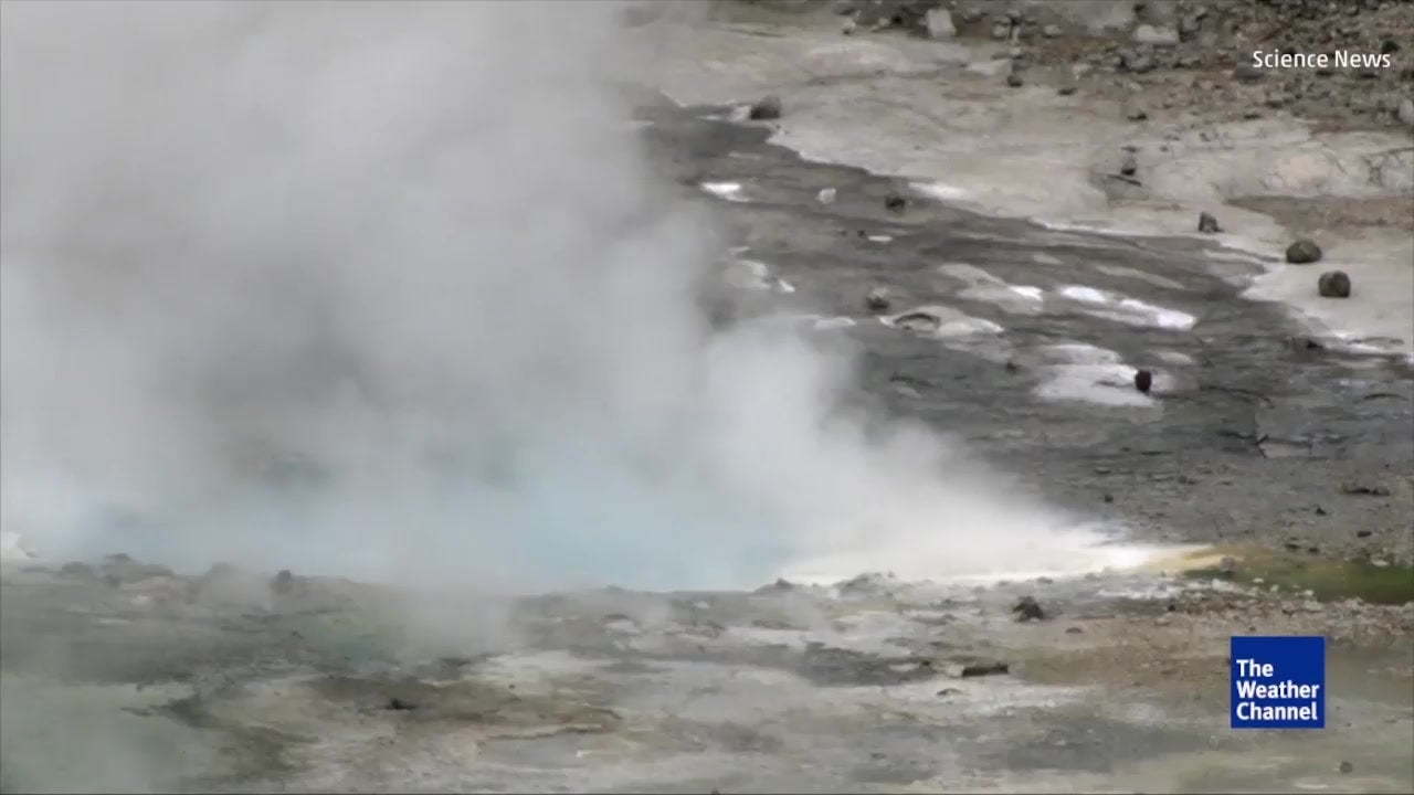 Carbon Dioxide Impacts at Yellowstone National Park | The Weather Channel
