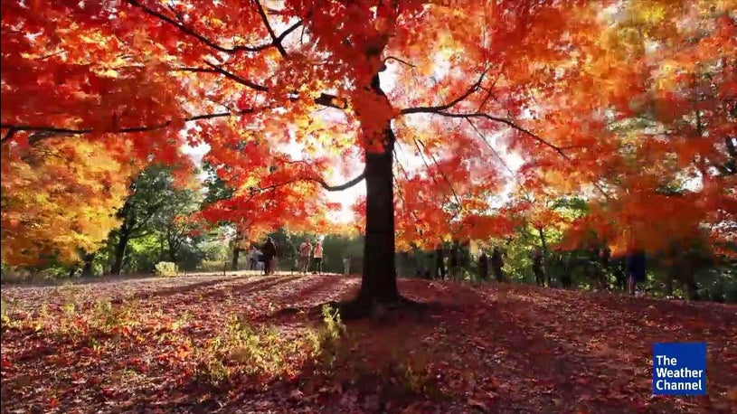 Big Weather Changes You Can Expect in October | The Weather Channel