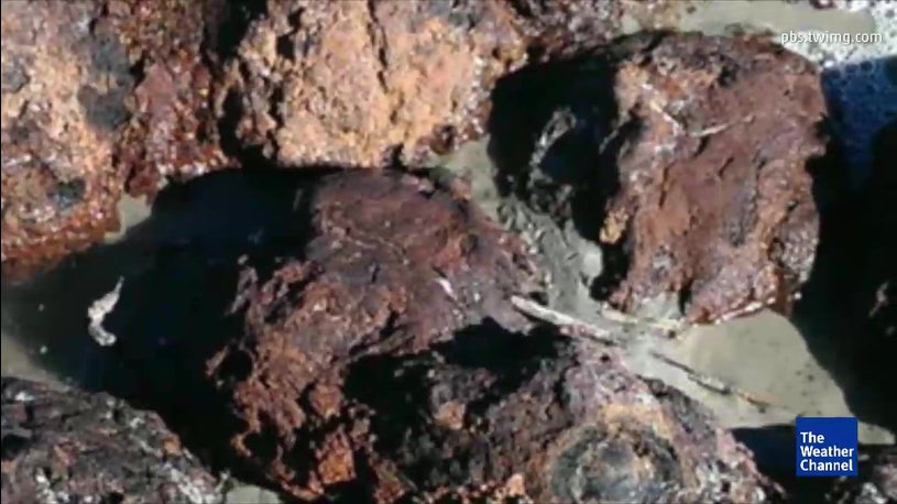 Hurricane Matthew Reveals Civil War Bombshells Along Folly