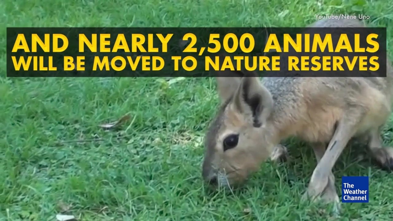 weather channel buenos aires