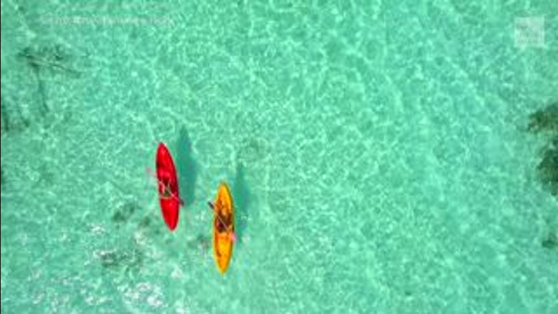 Global warming could change the color of the oceans