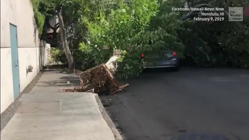 Winter Storm meets Hawaii Records and Breaks