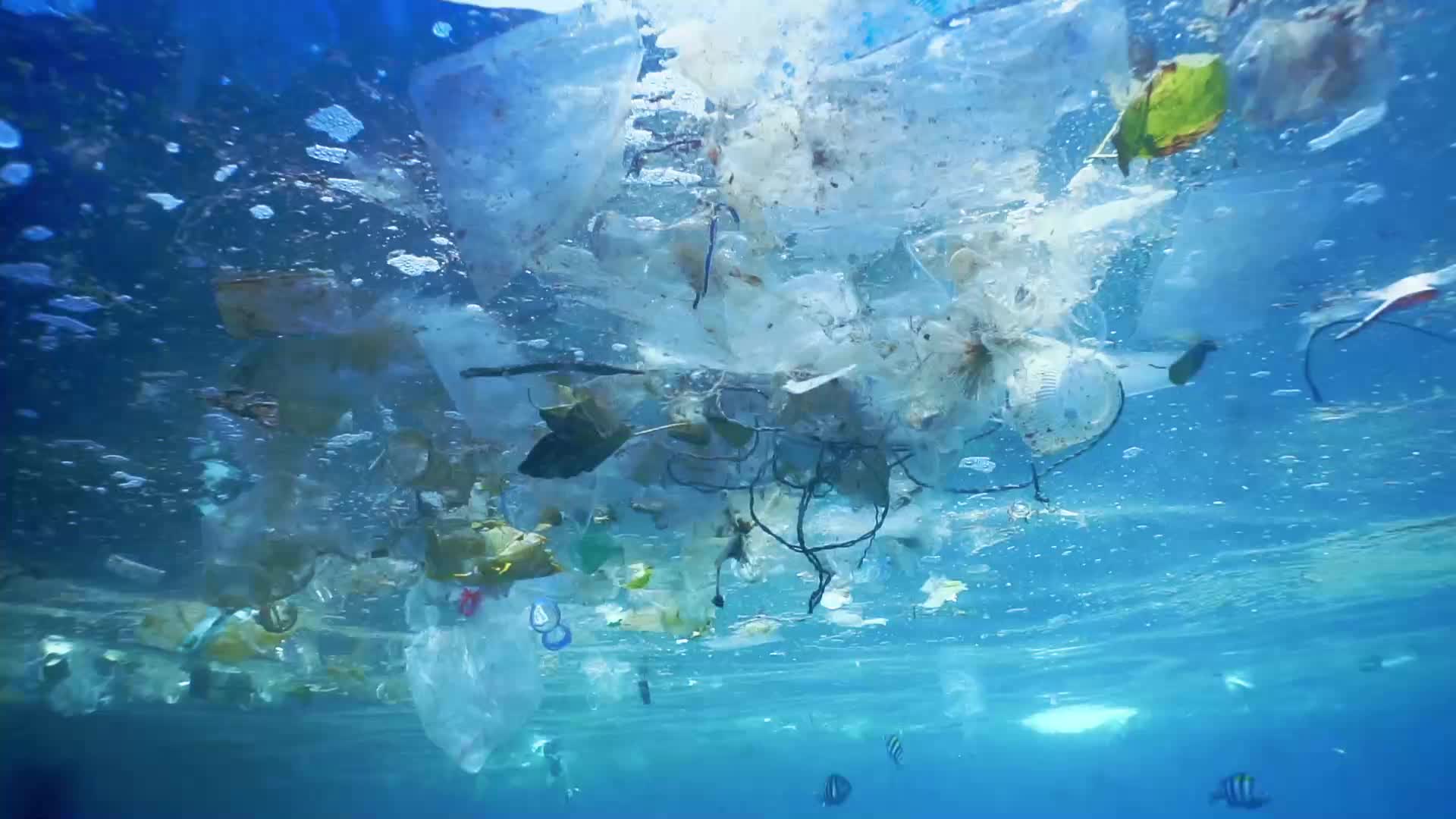 Forscher Schockiert Es Regnet Plastik Sogar In 3000 Meter Hohe