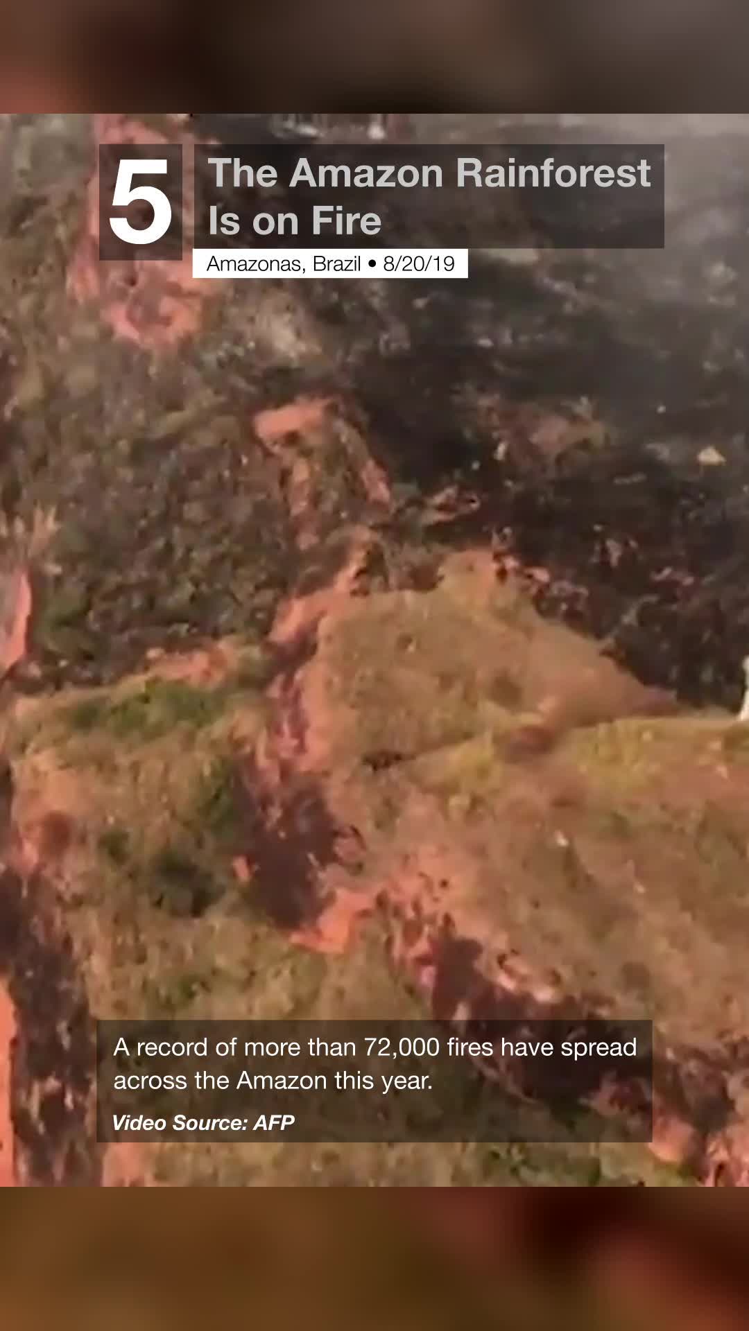 Amazon on Fire The Weather Channel