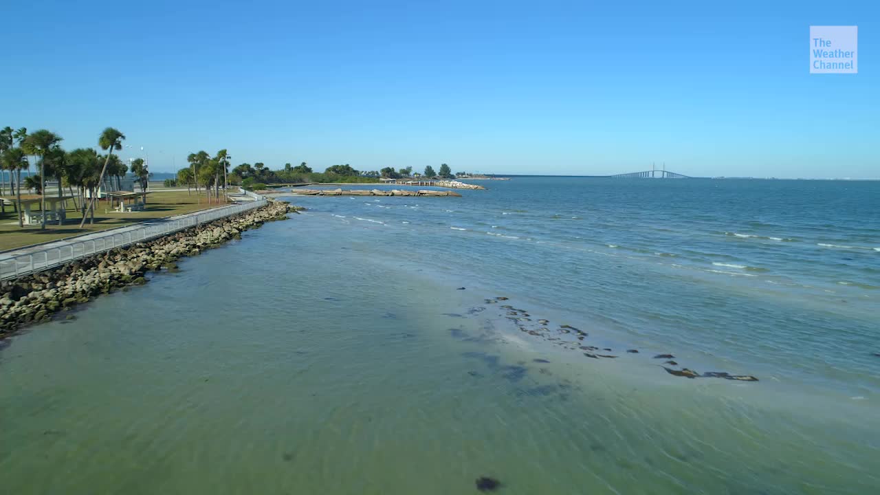 Florida S Tampa Bay Has 4 Billion Microplastic Particles Study