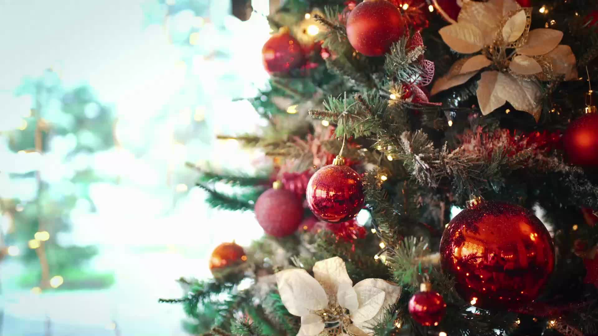 Motten Milben Zecken Lause Was Sie Sich Mit Christbaumen Ins Haus Holen Artikel Von The Weather Channel Weather Com