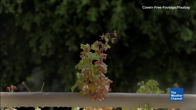 Weather channel air quality Weather channel air quality