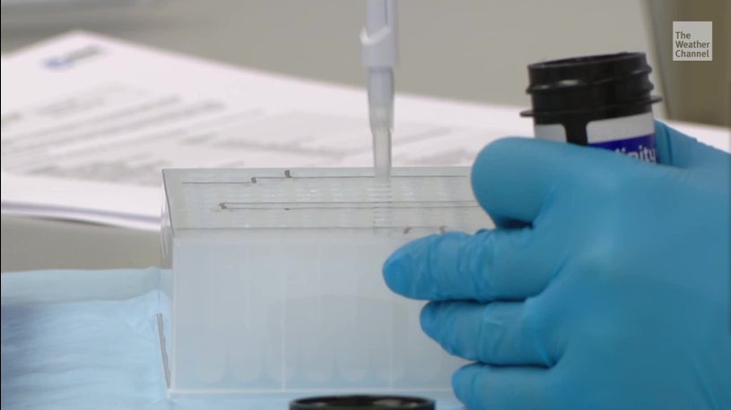 There is a new strain of coronavirus