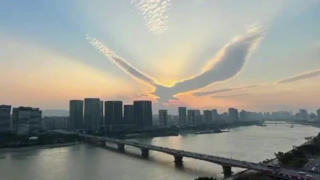 Incredible Cloud Looks Like Bird Soaring In Sky Videos From The Weather Channel Weather Com