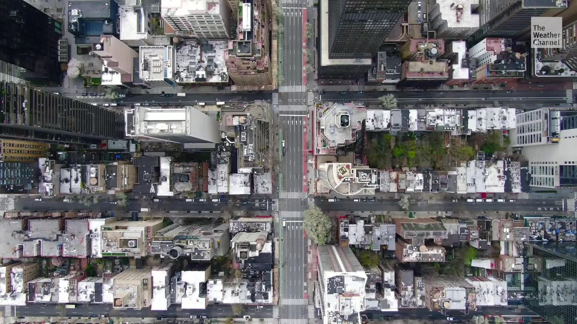 el pronóstico del tiempo en el bronx new york
