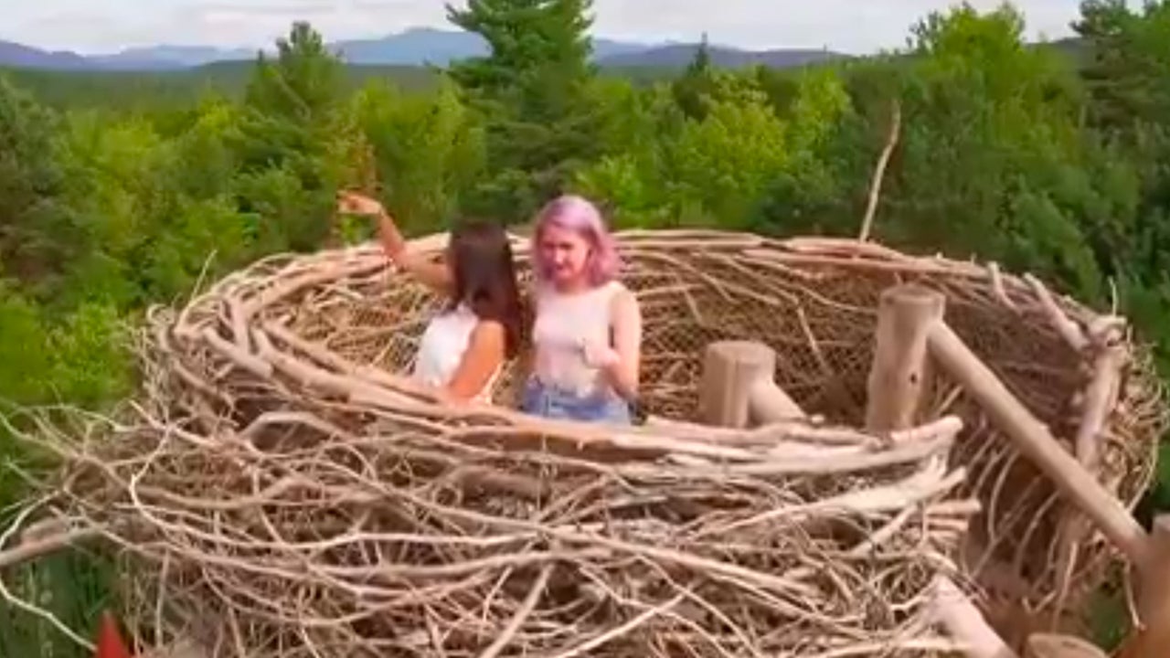 Human-Sized Birds Nest in New York | The Weather Channel