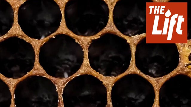 Trypophobia The Fear of Holes The Weather Channel