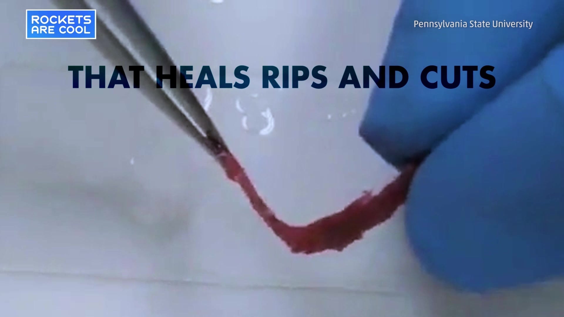 Scientists Unveil SelfHealing Fabric The Weather Channel