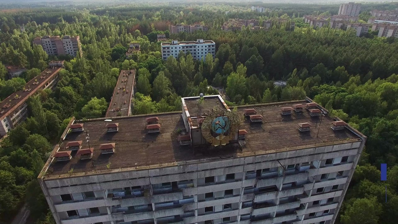 Chernobyl Tiere Chernobyl Tiere