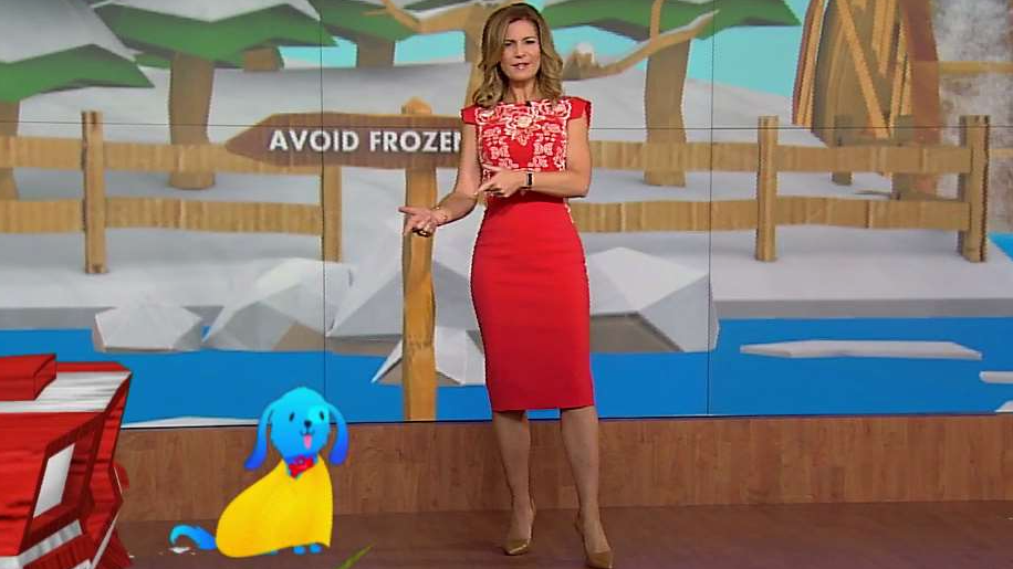 Keeping Your Pets Safe this Winter - Videos from The Weather Channel