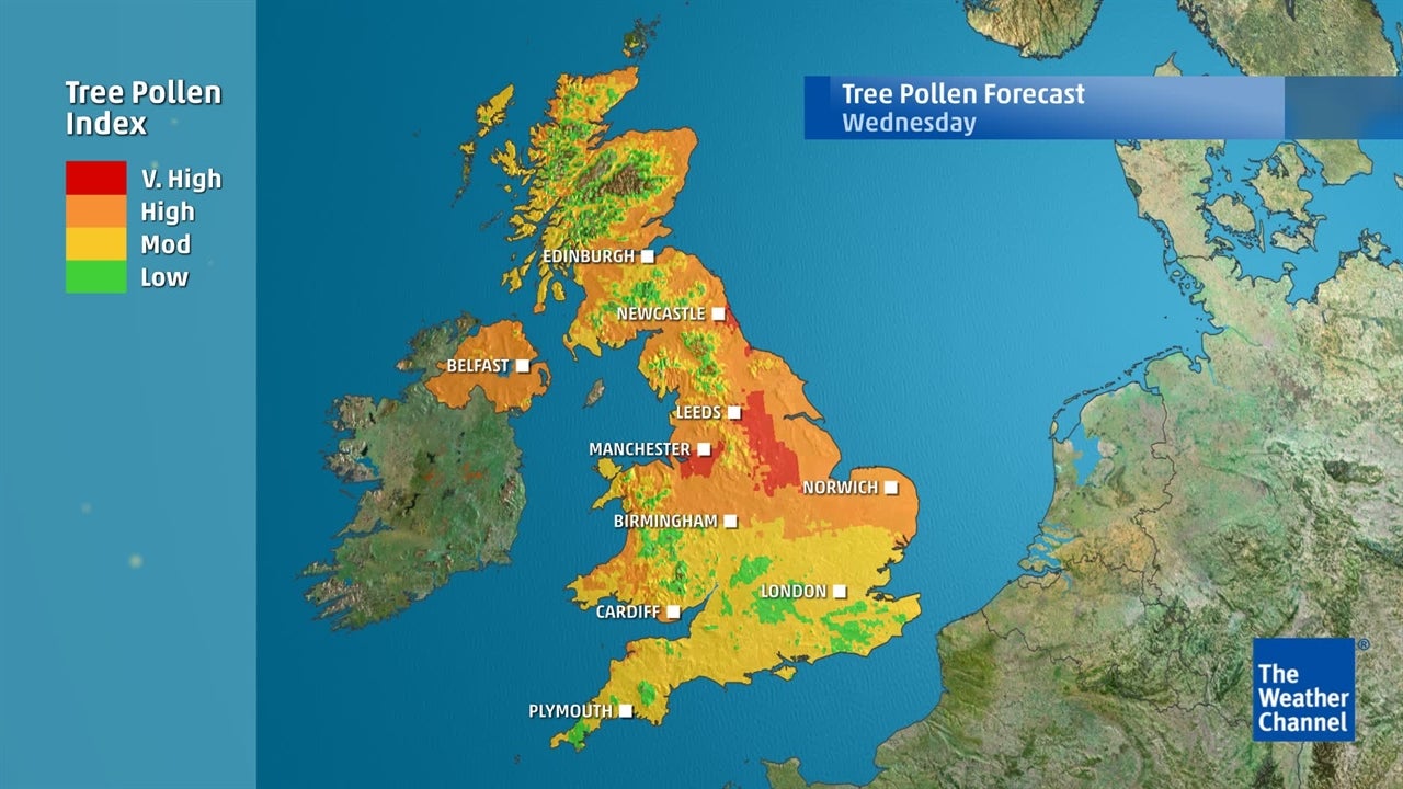 Tree Pollen Where is worstaffected in the UK? The Weather Channel