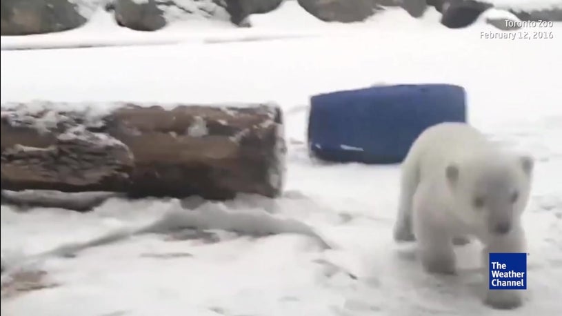 Winter Storm Quo Dumps Snow From Upper Midwest To New