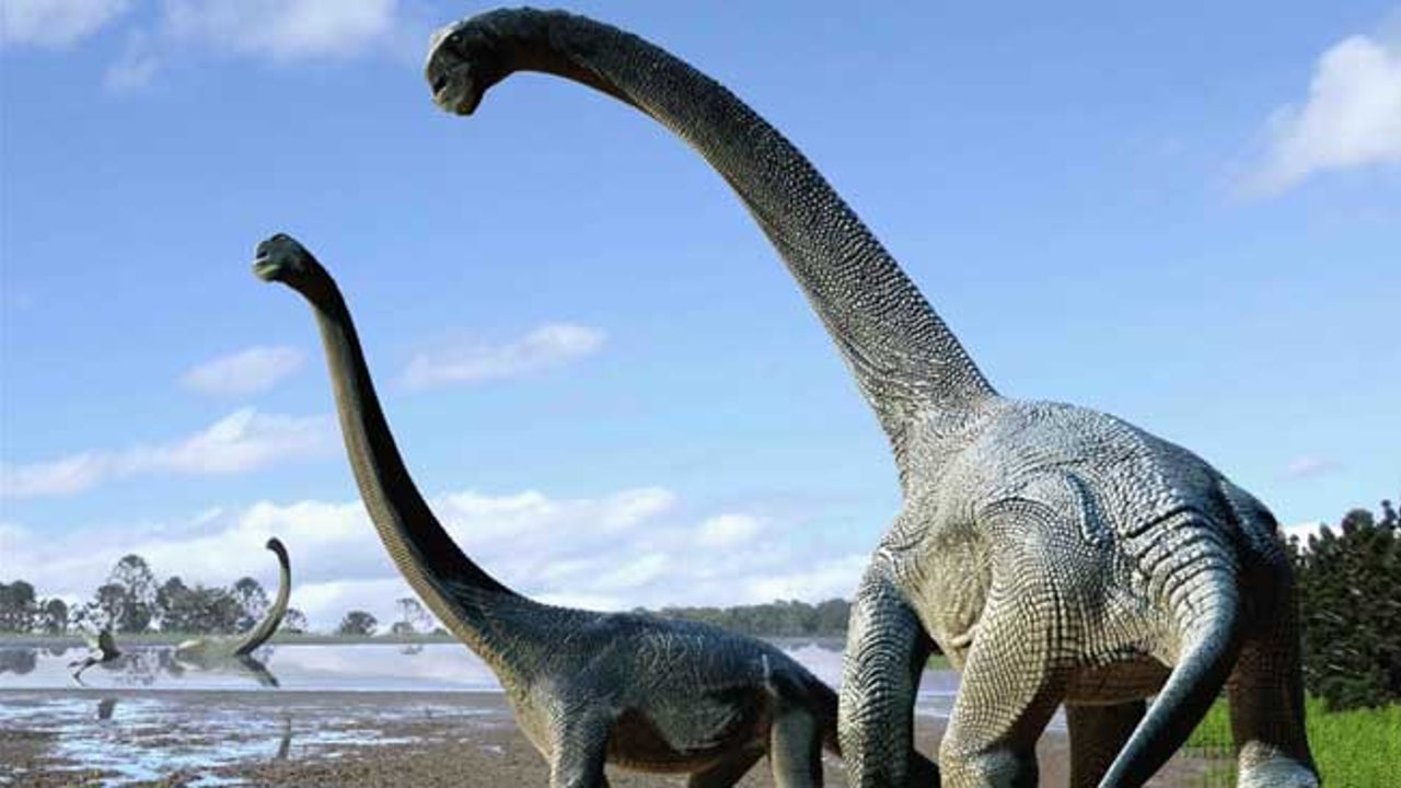 Scientists Excited By New Dinosaur Find The Weather Channel