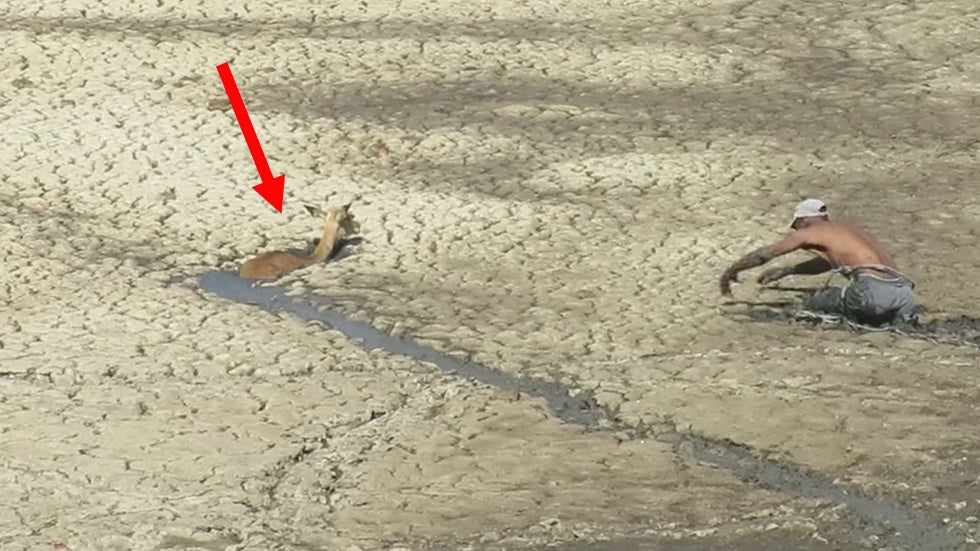 Stuck Impala Saved From Deep Mud - Videos from The Weather Channel