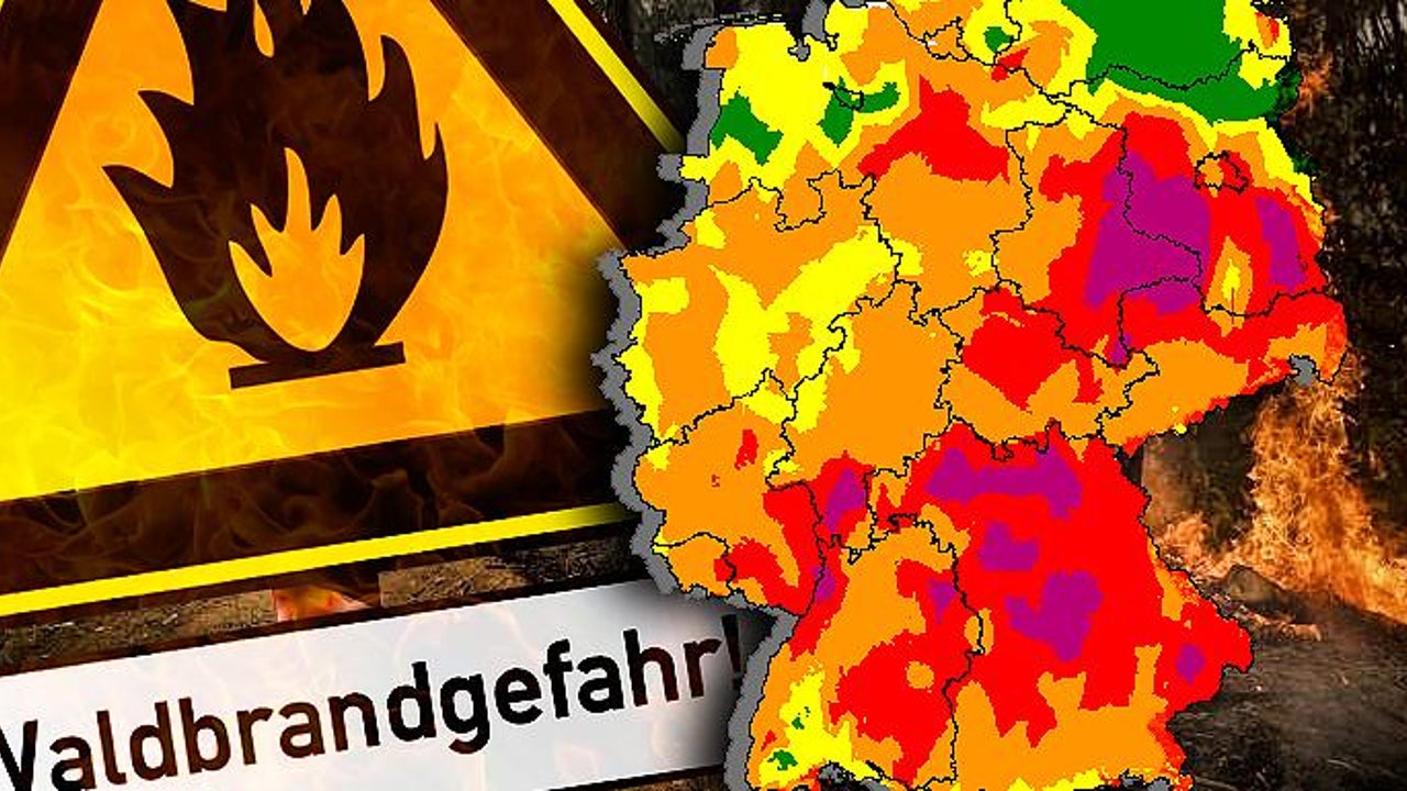 Hier gilt die höchste Waldbrand-Gefahrenstufe | The Weather Channel Hier gilt die höchste Waldbrand-Gefahrenstufe | The Weather Channel