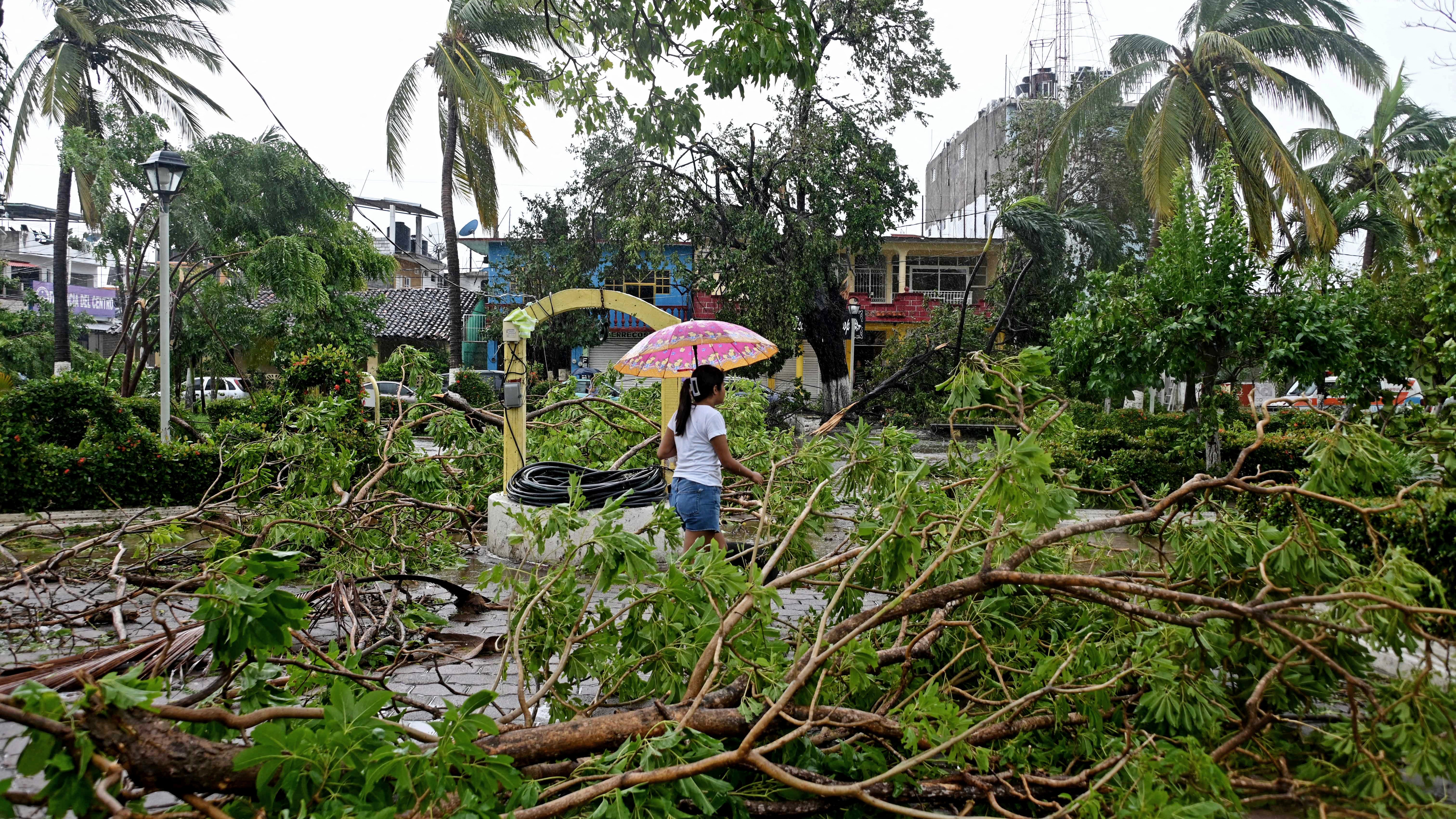 A woman walks past fallen trees after Hurricane John in San Marcos, Guerrero State, Mexico, on Sept. 24, 2024. (Francisco Robles AFP via Getty Images)