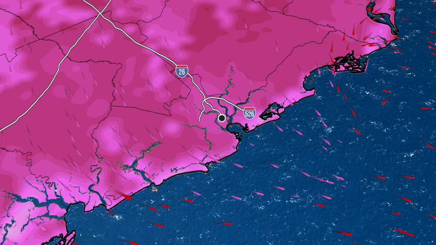 charleston-local-forecast-the-weather-channel