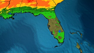 Hourly Weather Forecast For Nashville Tn The Weather Channel