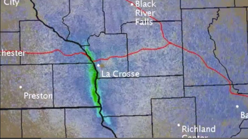 Interstate Traffic Mayflies And 11 Other Weird Things That Have