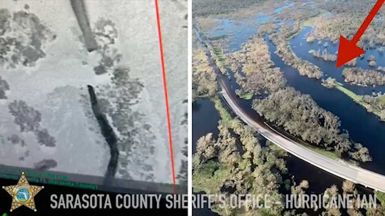 Ggmpqeebtlnh8m Ggmpqeebtlnh8m