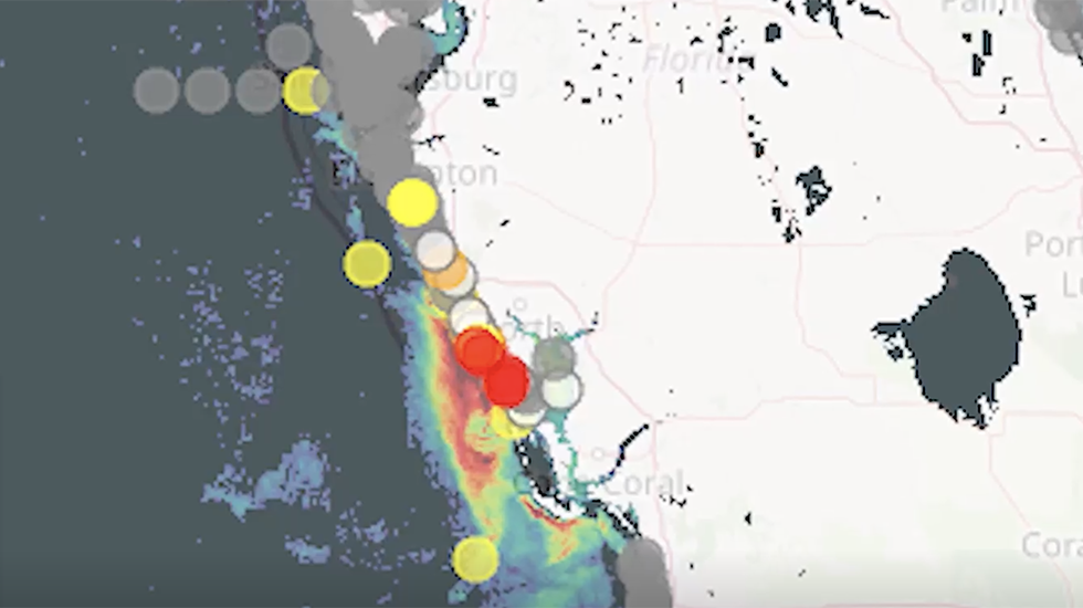 National and Local Weather Radar, Daily Forecast, Hurricane and information  from The Weather Channel and weather.com