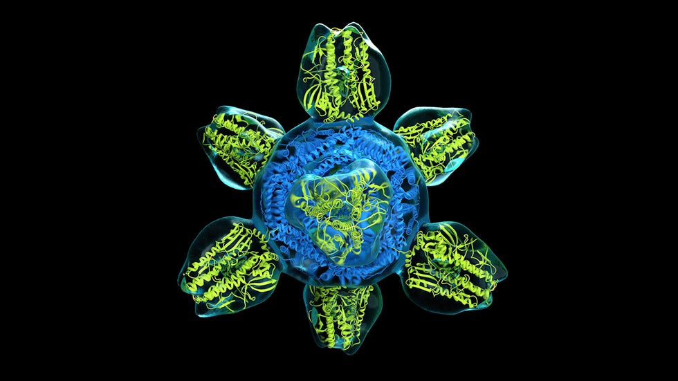 50 Striking Microscopic Images of Viruses and Bacteria | The Weather  Channel - Articles from The Weather Channel | weather.com