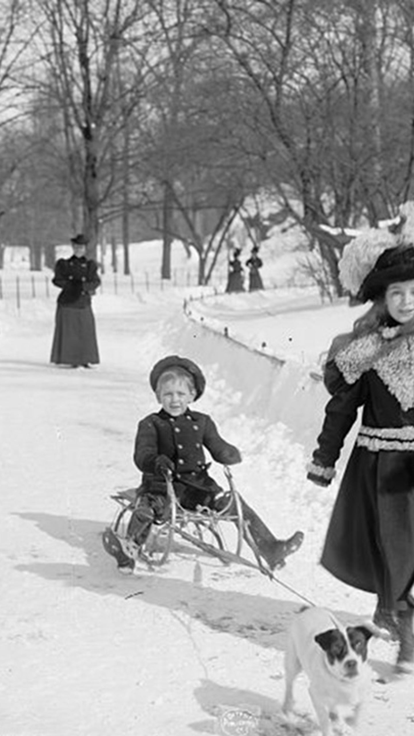 Winter Holiday Pictures Black And White Winter holiday pictures black and white
