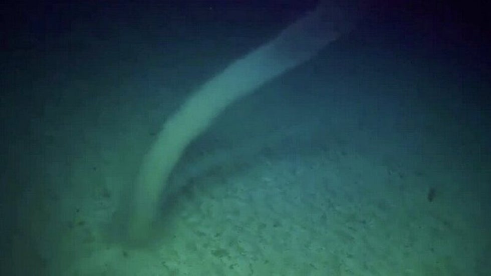 Watch Underwater Tornado Swirl On Seafloor Videos From The Weather Channel Weather Com