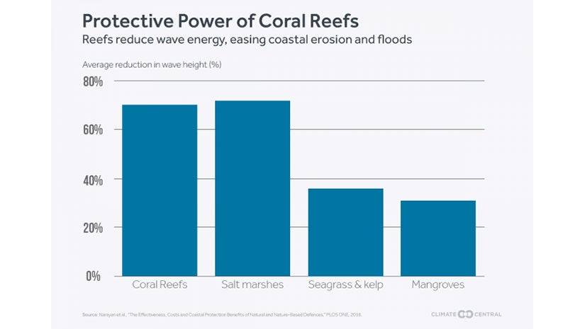 Coral Deaths Threaten Coasts With Erosion, Flooding The Weather Channel