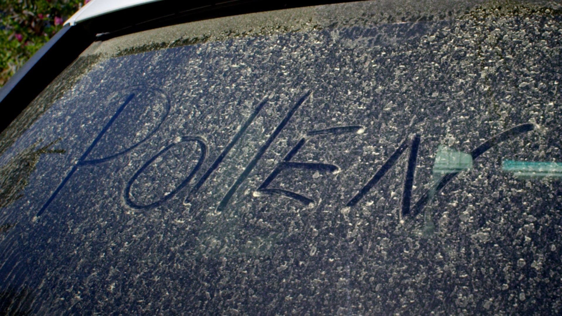 It&rsquo;s tough to completely avoid symptoms, but it can make a big difference if you adjust your routine, take allergy meds and use an inhaler if you have asthma. For personalized advice, consider talking to an allergist about the best approach for you.