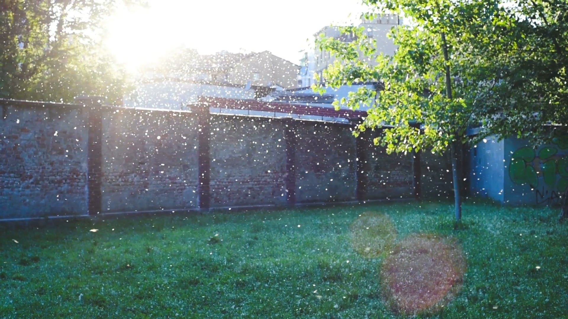 After a rainstorm might be the best time to head out, as pollen is often subdued, but be cautious of windy days that can stir it up again.
