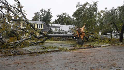 A large tree lays broken in half on west Cherokee in Enid, Okla., Wednesday, Oct. 28, 2020, following an ice storm. More than 350,000 homes and businesses in Oklahoma were without electricity Wednesday as cleanup continued from an ice storm that ravaged much of the state. (Billy Hefton/The Enid News & Eagle via AP)