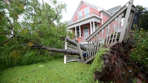 A tree uprooted by Hurricane Nicholas damaged two fences and sprinkler lines on this road in Galveston, Texas, Tuesday, Sept. 14, 2021. (Jennifer Reynolds/The Galveston County Daily News via AP)