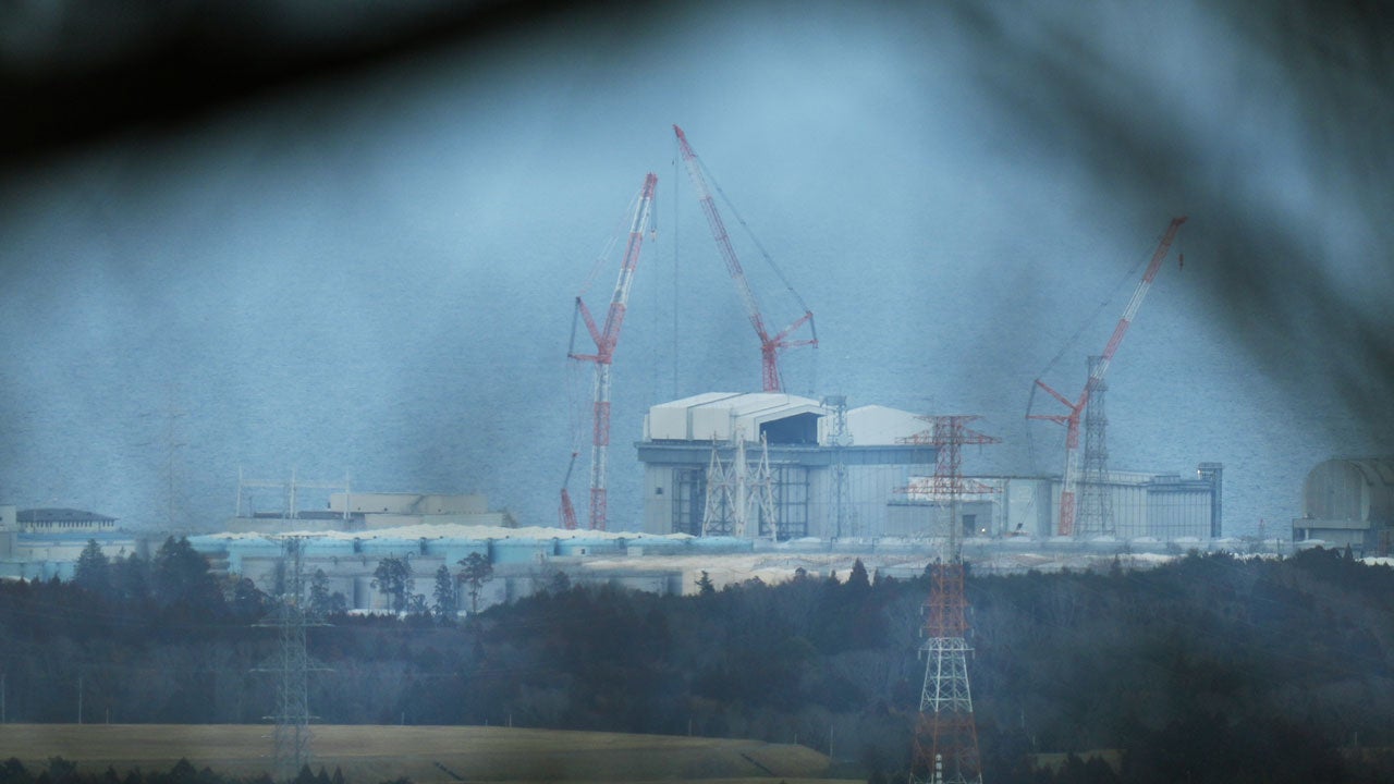 The Fukushima Daiichi nuclear power plant, damaged by a March 11, 2011, earthquake and tsunami, is seen through branches from a hill in Tomioka, northeastern Japan, Tuesday, Feb. 10, 2026. (AP Photo/Hiro Komae)