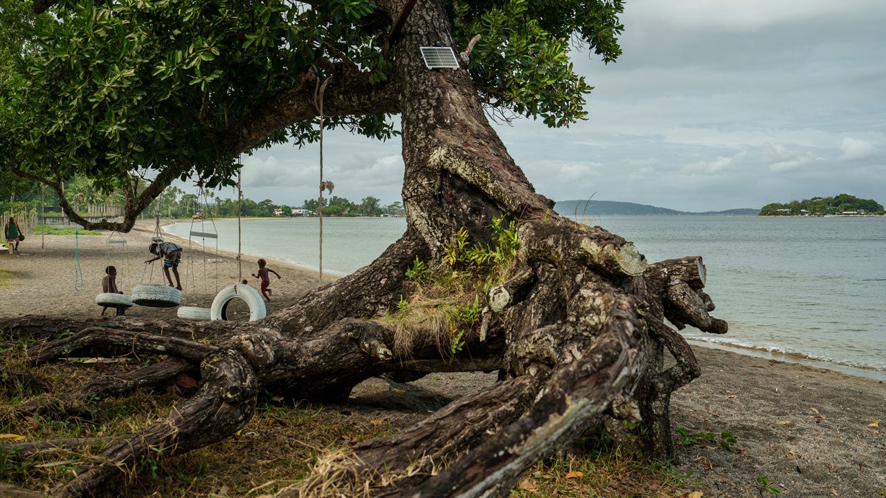 Children play on an uprooted tree along a beach in Mele, Vanuatu, July 19, 2025, that was once lined with vegetation, now largely lost to storms, erosion and other environmental pressures. (AP Photo/Annika Hammerschlag, File)