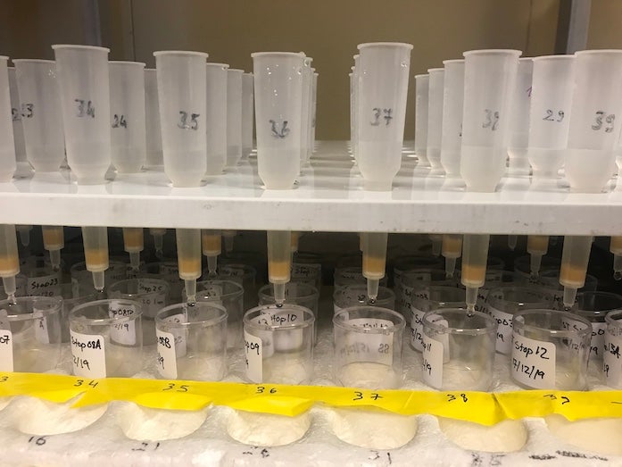 Anion sample extracted from snowmelt from EPIC Dome C trench samples