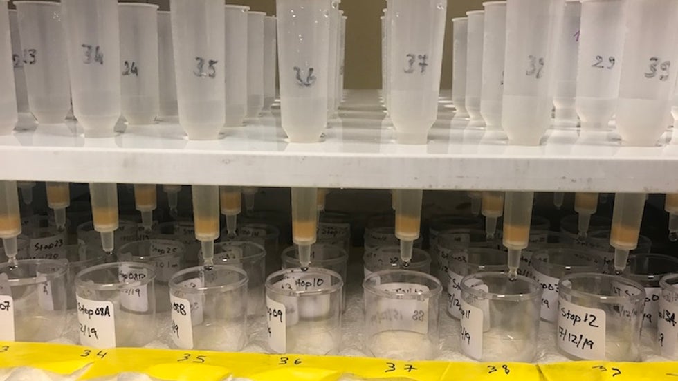 Anion sample extracted from snowmelt from EPIC Dome C trench samples