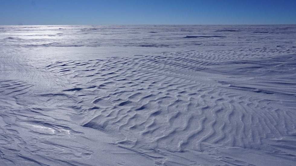 A view of the landscape at the Megadunes site in Antarctica