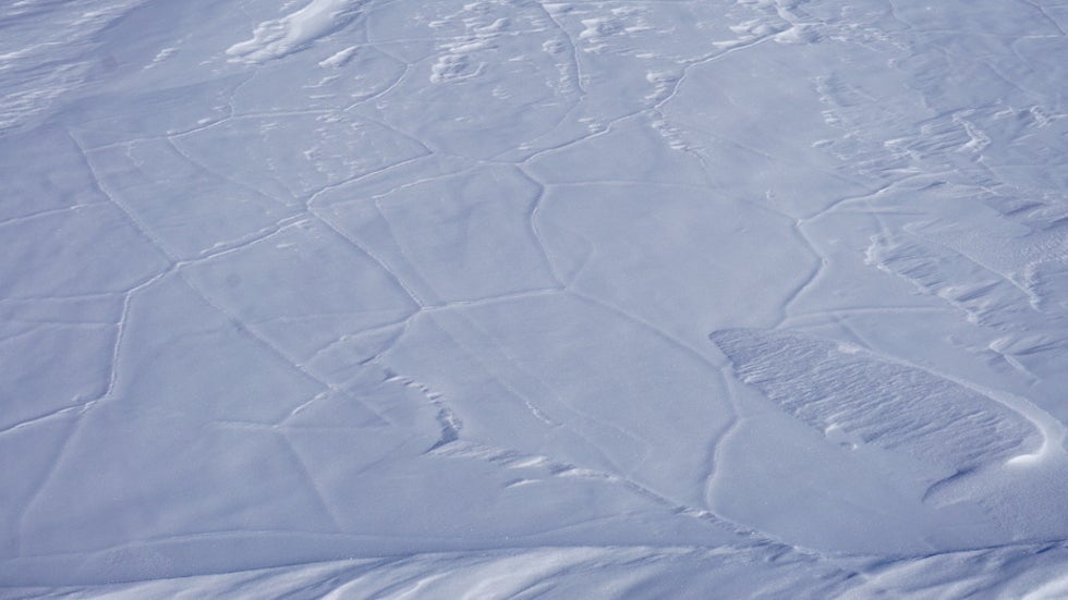 Thermal cracks in the Megadunes snow surface