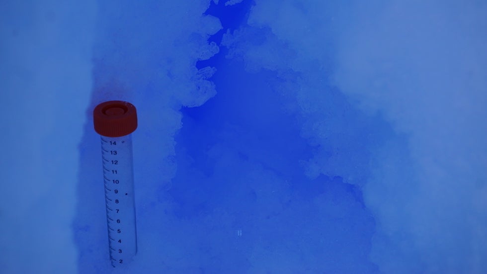 A closer view of the ice crystals that have slowly grown in a thermal crack at Megadunes