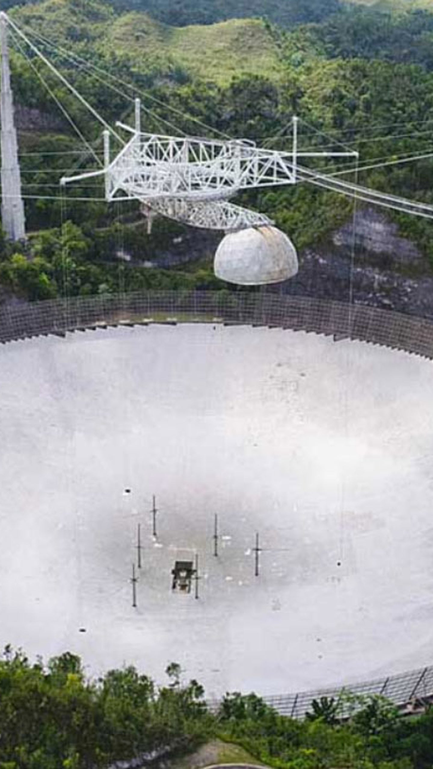 Another Cable Breaks at Arecibo Observatory, Famous For Sending Message To  Aliens | The Weather Channel - Articles from The Weather Channel |  weather.com