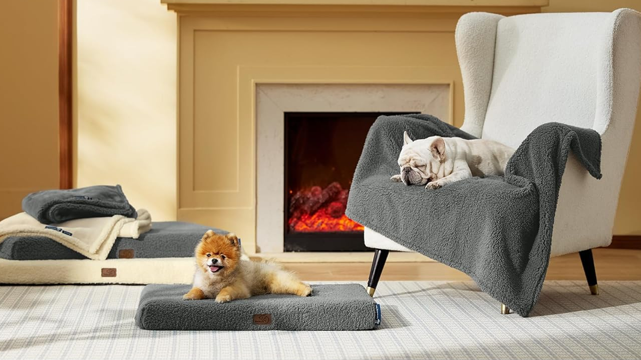 Bedsure Self Warming Dog Bed for Medium Dogs