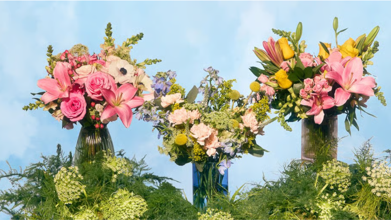 The Bouqs Co. Mother's Day Flowers 2025